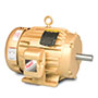 Baldor-Reliance Shaft Grounding or Three Phase Enclosed AC Motor