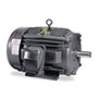 Baldor-Reliance Explosion Proof General Purpose AC Motor - 2