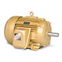 Baldor-Reliance Shaft Grounding or Three Phase Enclosed AC Motor - 2