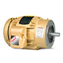 Baldor-Reliance Three Phase Enclosed AC Motor - 3