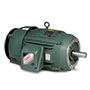 Baldor-Reliance General Severe Duty AC Motor - 3