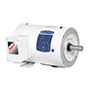 Baldor-Reliance White Washdown AC Motor