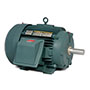 Baldor-Reliance IEEE 841 AC Motor - 6