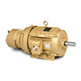 Baldor-Reliance Short-Series Brake AC Motor - 11