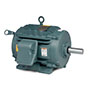 Baldor-Reliance Chiller/Cooling Tower AC Motor