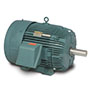 Baldor-Reliance General Severe Duty AC Motor - 4