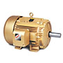 Baldor-Reliance Three Phase Enclosed AC Motor - 9