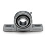 2 Bolt Pillow Block Ez Kleen Bearing - 2