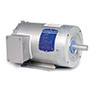 Baldor-Reliance Paint Free AC Motor - 4