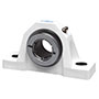 2 Bolt Pillow Block Ez Kleen Bearing