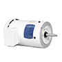 Baldor-Reliance White Washdown AC Motor, 56J Jet Pump AC Motor