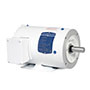 Baldor-Reliance White Washdown AC Motor - 3