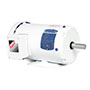 Baldor-Reliance White Washdown AC Motor - 5