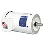 Baldor-Reliance White Washdown AC Motor - 6