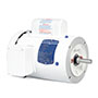 Baldor-Reliance White Washdown AC Motor - 7