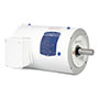 Baldor-Reliance White Washdown AC Motor - 8