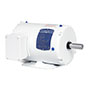 Baldor-Reliance White Washdown AC Motor - 10