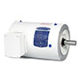 Baldor-Reliance White Washdown AC Motor - 11