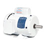 Baldor-Reliance White Washdown AC Motor - 12